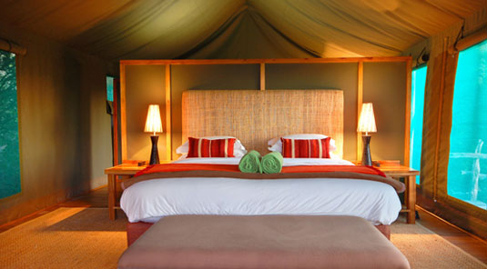 Amakhala Game Reserve - HillsNek Safaris