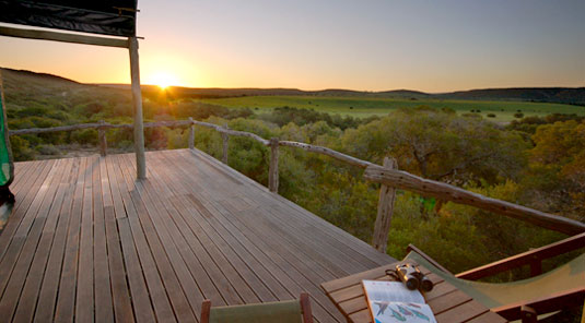 Amakhala Game Reserve - HillsNek Safaris
