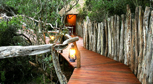 Tree Tops - Lalibela Game Reserve, Eastern Cape