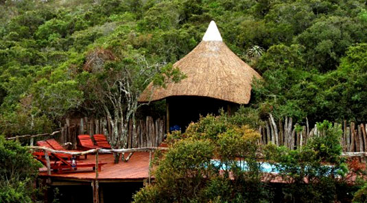 Tree Tops - Lalibela Game Reserve, Eastern Cape