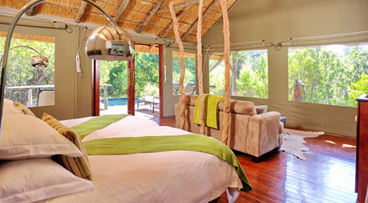 Shamwari Game Reserve - Bayethe Lodge